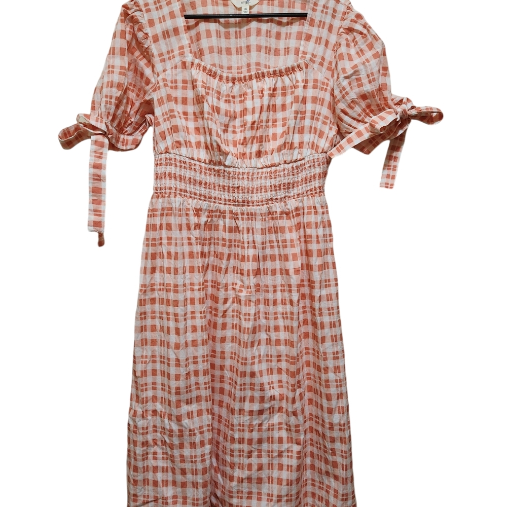 NWT WOMANS TERRA & SKY SZ LG DRESS
